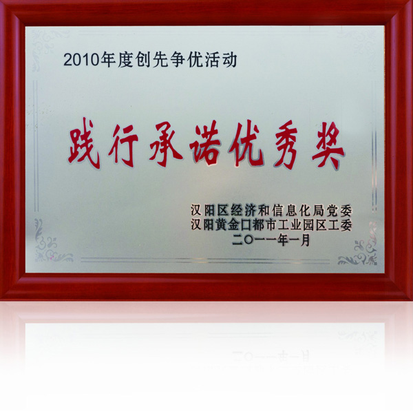 齐达康-践行承诺优秀奖